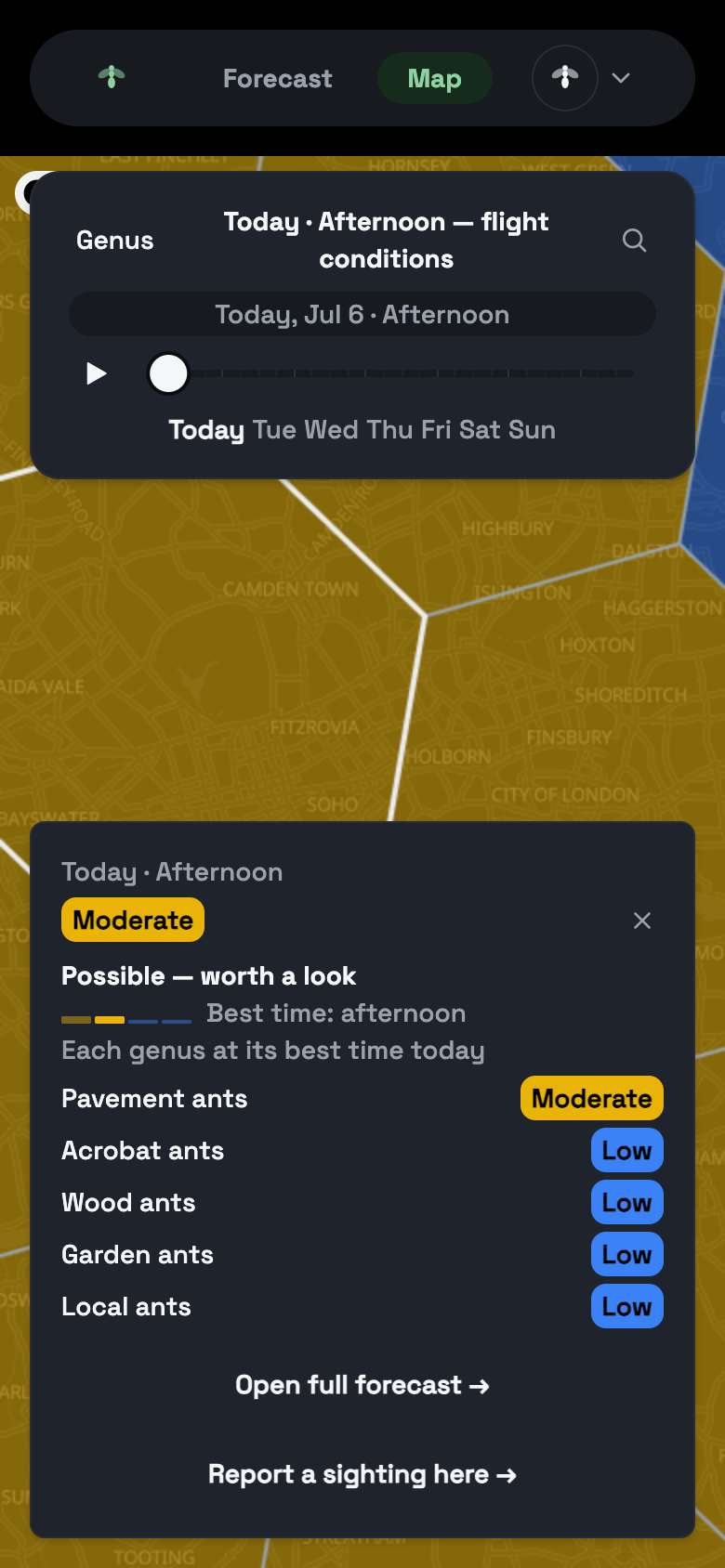 Dealate's live map of ant flight conditions: a hexagon grid over the city with one cell's detail panel open, scoring each ant species separately for the day