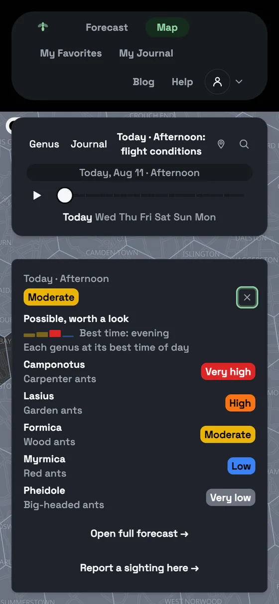 Dealate's map view with a cell's detail panel open: Today, Afternoon rated Moderate (possible, worth a look), best time evening, and five ant genera each banded separately, from Camponotus at Very high to Pheidole at Very low