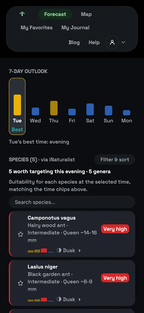 Dealate Pro's 7-day outlook with Tuesday flagged Best, above the species list scoring each ant species separately: Camponotus vagus and Lasius niger both Very high for the evening